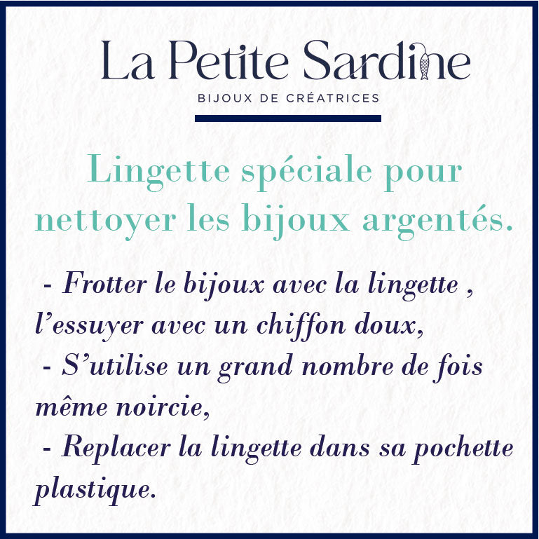 Lingette Nettoyante Argent