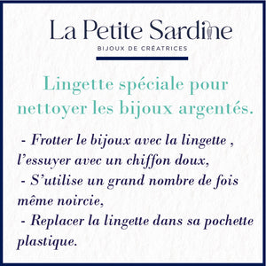 Lingette Nettoyante Argent