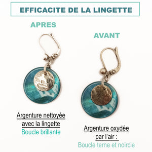 Lingette Nettoyante Argent